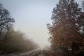 Railway tracks, rails and switches platforms in a rural train station in Palic Serbia, taken during a smog autumn afternoon Royalty Free Stock Photo