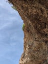 a picture of a tree on a cliff seen from below soaring up into the blue sky in a tourist spot in Bali, Indonesia Royalty Free Stock Photo
