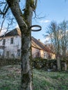 Picture with a tree, an iron hoop attached to the tree