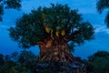 The tree of life at Disney`s animal Kingdom Royalty Free Stock Photo