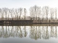 Picture of a trees and mirroring on the river.