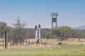 Picture of two baboons sitting on a fence post in Namibia Royalty Free Stock Photo
