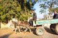 Two Egyptian men riding on a cart to market Cairo, Egypt