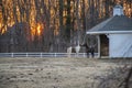 Two horses kissing at sunset by a barn