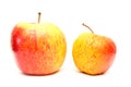 A picture of two ordinary apples, without modifications