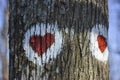 Picture of two red hearts painted on tree