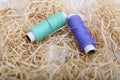 Picture of two sewing thread with needle on the rafi grass Royalty Free Stock Photo