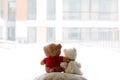 Two embracing bear cubs on a white background Royalty Free Stock Photo