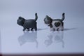 Gray and black cat doll Walking