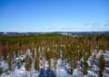 Picture of a typical winter landscape in central Finland near the town of JÃÂ¤ms