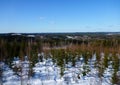 Picture of a typical winter landscape in central Finland near the town of JÃÂ¤ms