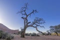 Picture of the unique landscape of the Tiras Mountains on the edge of the Namib Desert in Namibia Royalty Free Stock Photo