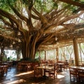 picture of view of giant banyan tree in the shop