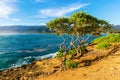 View at Laie Point on Oahu, Hawaii Royalty Free Stock Photo