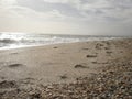 Footsteps on the beach sand at Milano Maritimo