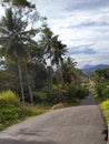 road in the countryside