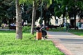 Elderly woman reads a book in the park Royalty Free Stock Photo