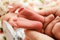 The picture was taken from newborn to obstetrics and gynecology Royalty Free Stock Photo