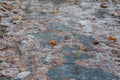 Snowy frozen brown leaves on a grey sidewalk