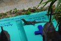 Iguana resting on a grave, Mexican cemetery Royalty Free Stock Photo