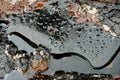 Water drops on the petroleum surface Royalty Free Stock Photo