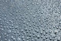 Water drops on the petroleum surface Royalty Free Stock Photo