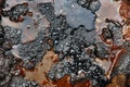 Water drops on the petroleum surface Royalty Free Stock Photo