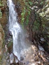 picture of water fall in the forest