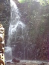 Picture of water fall in the forest