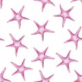 Picture of a watercolor pink color sea star class invertebrate type echinoderms