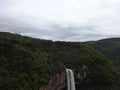 Picture of Waterfall in Forest