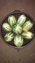 Watermelon in the bowl In india