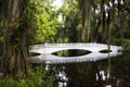 White bridge going over a swamp at the Magnolia plantation in Charleston South Carolina