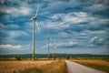 Picture of wind farm generators in the yellow field. Royalty Free Stock Photo