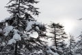 Picture of winter snowy Magadan city, Russia