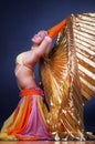 Picture of woman with wings Royalty Free Stock Photo