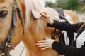 Picture of woman& x27;s hand combing a horse Royalty Free Stock Photo