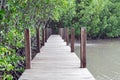 Picture of a wooden walkway to study the nature of the mangrove forest