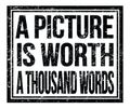 A PICTURE IS WORTH A THOUSAND WORDS, text on black grungy stamp sign Royalty Free Stock Photo