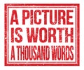 A PICTURE IS WORTH A THOUSAND WORDS, text on red grungy stamp sign Royalty Free Stock Photo