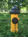 Yellow and Black Fire hydrant Royalty Free Stock Photo