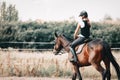 Picture of young girl riding her horse Royalty Free Stock Photo
