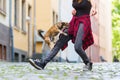 Young woman lets her small dog jumping over the leg