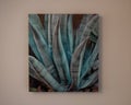 Agave plant by artist & photographer Kim Robbins on a wall in Marfa, Texas,