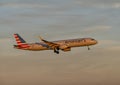 American Airlines jet landing in the evening at Love Field in Dallas, Texas.