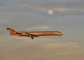 American Eagle jet landing in the evening with the moon in the background at Love Field in Dallas, Texas.