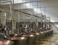 Area for production of Parmigiano Reggiano cheese in the San Silvestro Cooperative in Castelvetro di Modena, Italy.