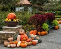 Pumpkins of various colors and shapes with vegetation and a green bench at the Dallas Arboretum in Texas.