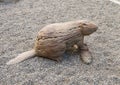 Wooden beaver sculpture for children to climb and play on in Main Street Mall in Avon, Colorado.