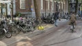 The Bicycles of Amsterdam, The Nethelands